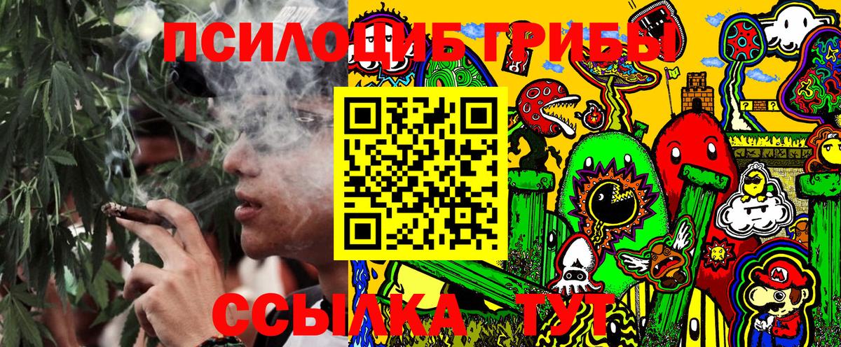 Галлюциногенные грибы Cubensis Абинск