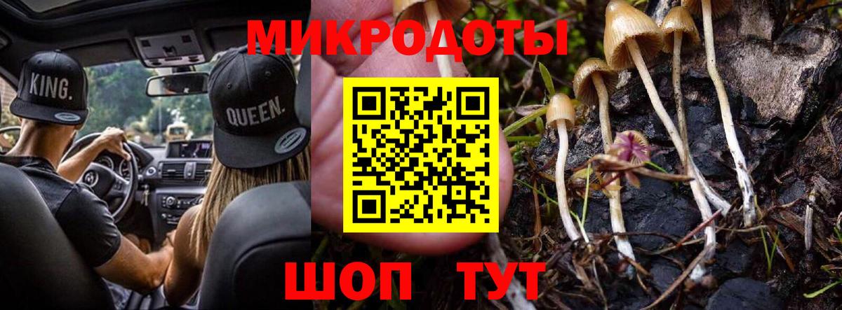 Псилоцибиновые грибы Cubensis  Вход с VPN  Галлюциногенные грибы мухоморы  Абинск 